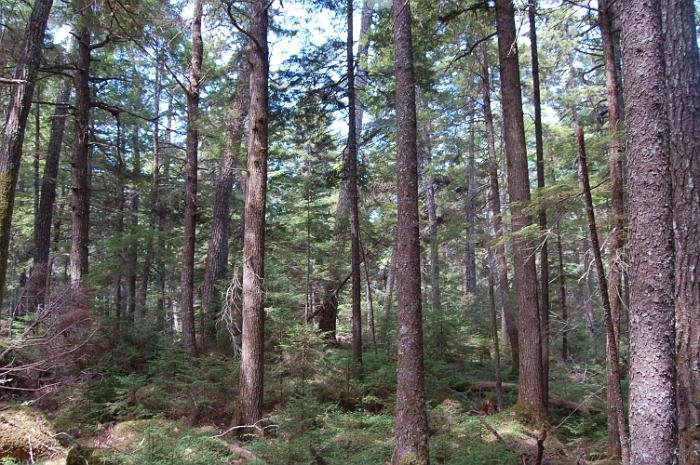 Kanutrip Naturreservat Sporting Lake_68